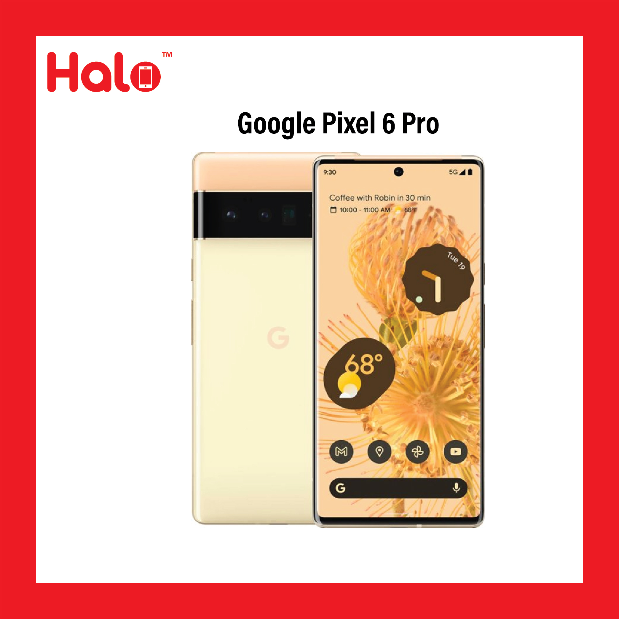 Google Pixel 6 Pro || Halomobile